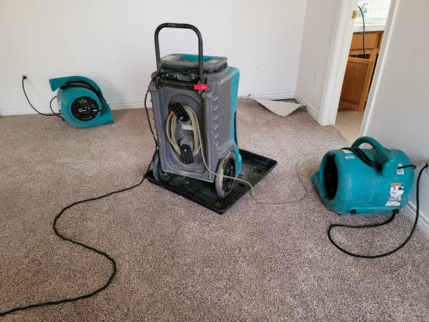 Best Commercial water damage restoration  in Morristown, TN
