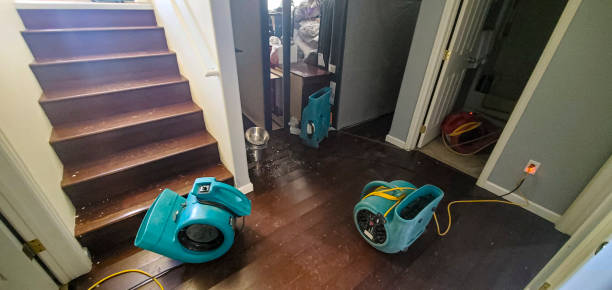 Best Flood damage cleanup  in Morristown, TN