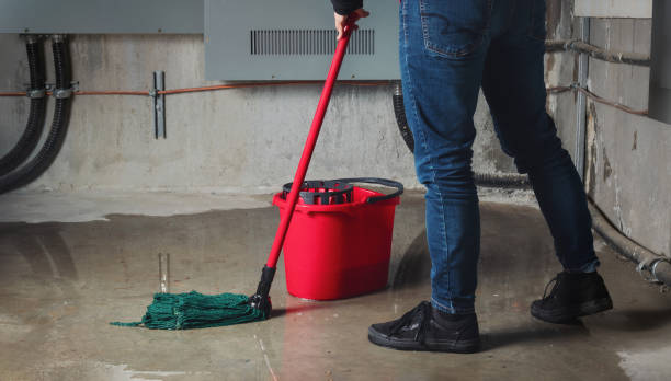 Best Flooded house restoration  in Morristown, TN