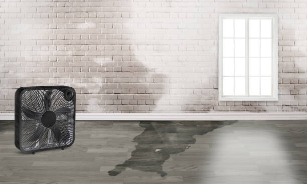 Water damage restoration insurance claims in Morristown, TN