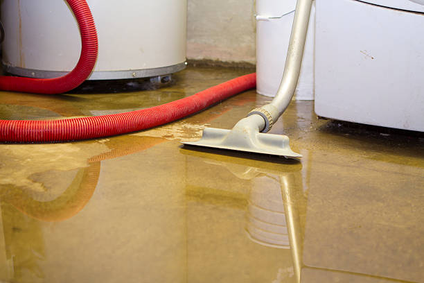 Reliable Morristown, TN Water damage restoration Solutions
