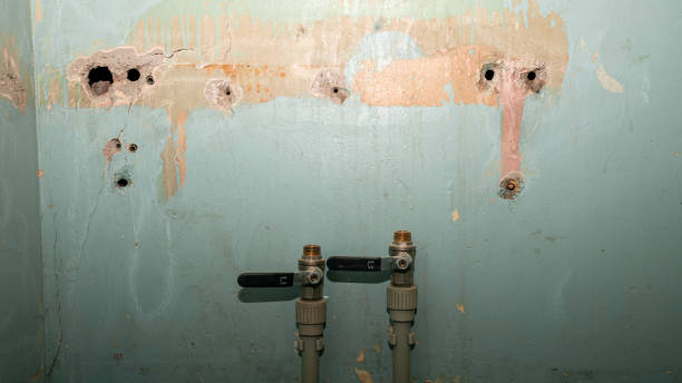 Best Water damage restoration insurance claims  in Morristown, TN
