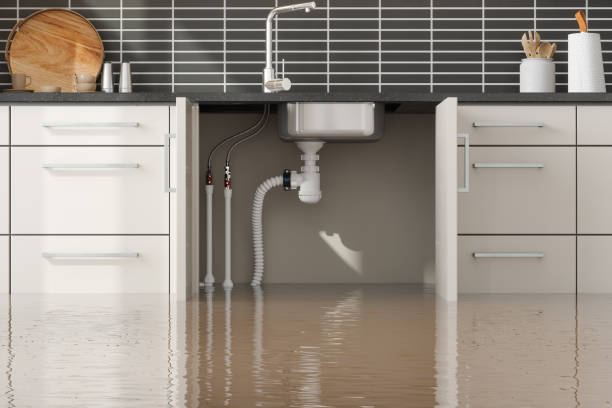 Best Water damage restoration mold remediation  in Morristown, TN