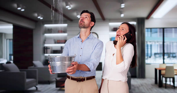 Best Water damage restoration near me  in Morristown, TN