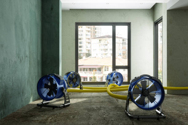 Best Water damage restoration near me  in Morristown, TN